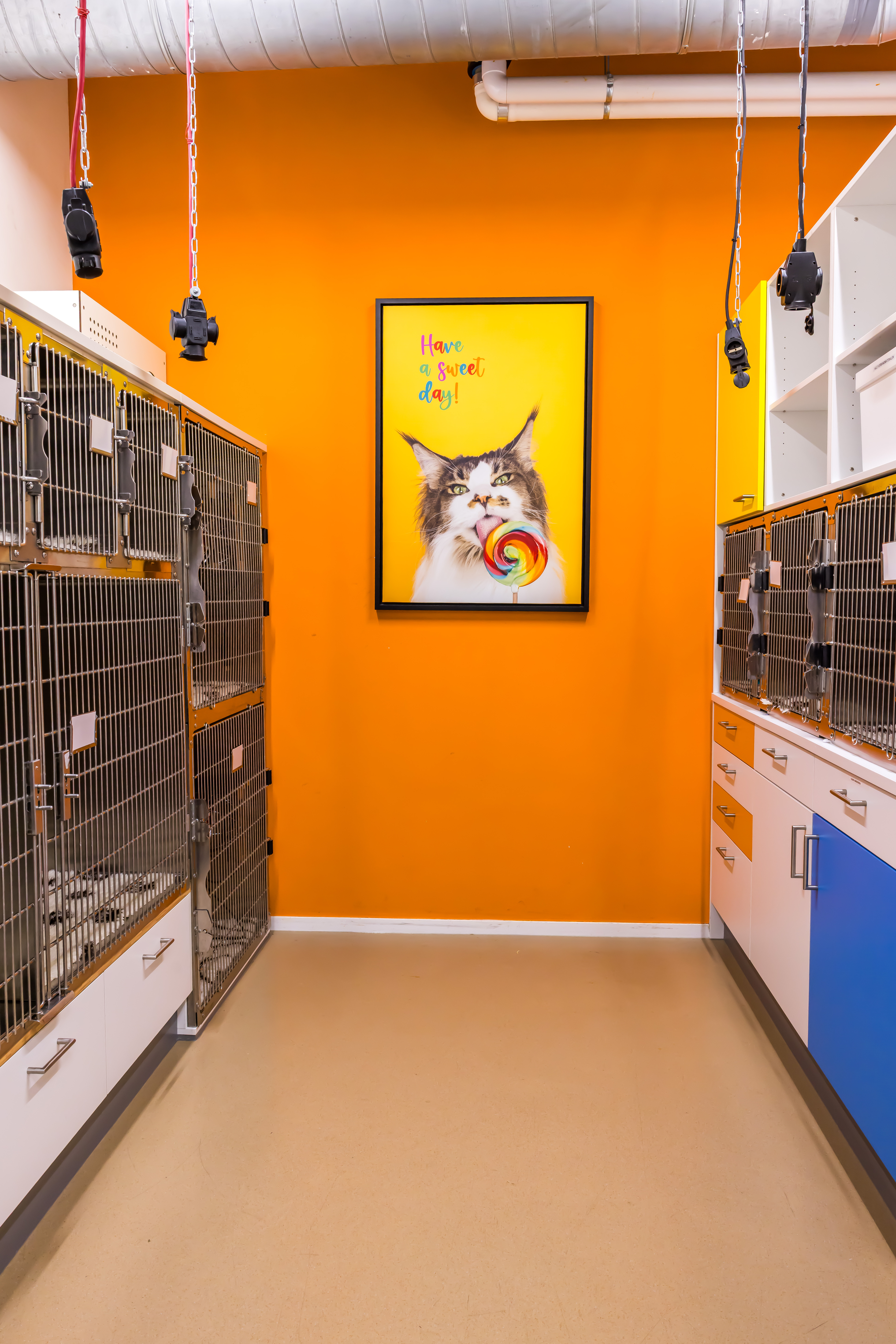 Kattenopname panorama